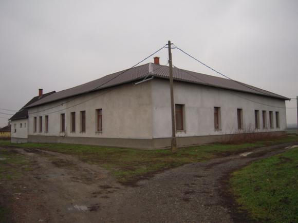 DSCN3199