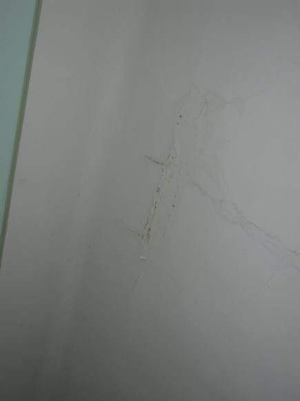 DSCN3274