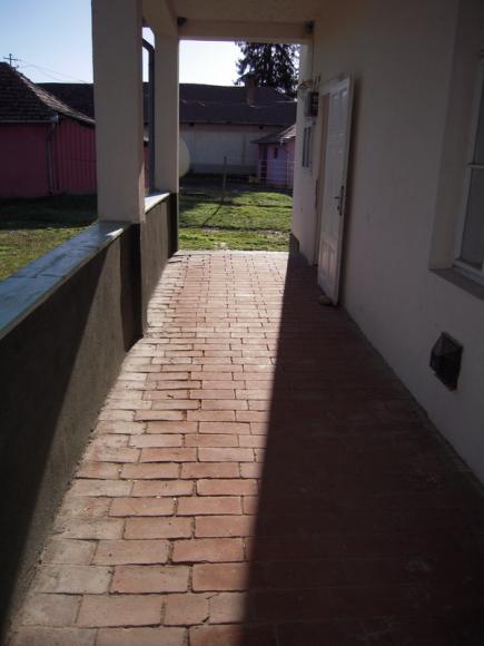 DSCN3296