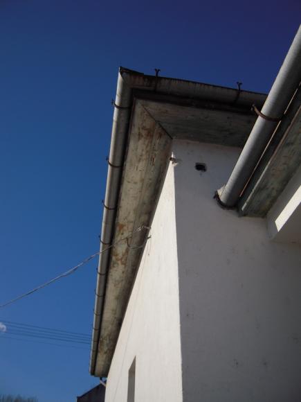 DSCN3305