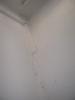 DSCN3351