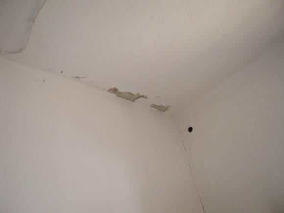 DSCN3353
